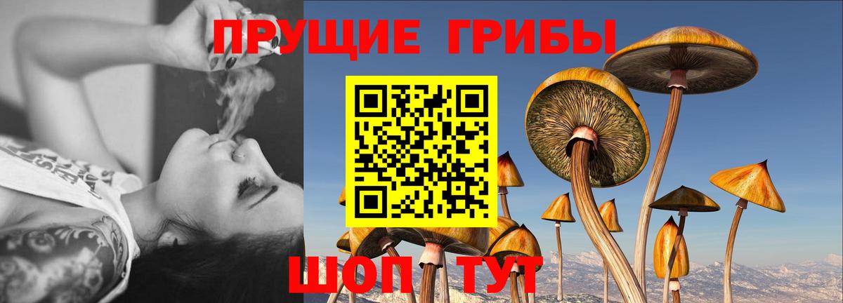 Галлюциногенные грибы Cubensis  Вход с VPN  Краснокаменск 
